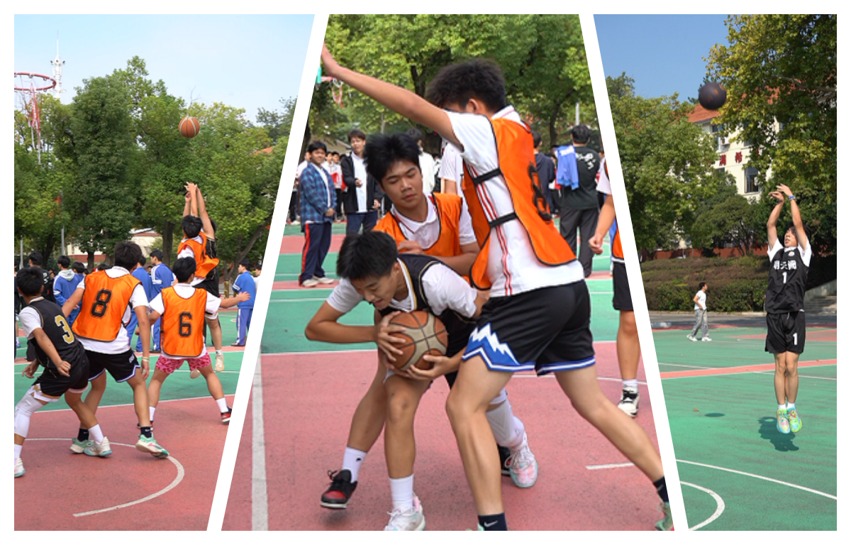 e57919fc5ee5d7ae2e055b6b0eb29551_副本.png